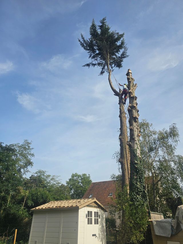 image1 (1)